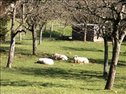B&B Alencon